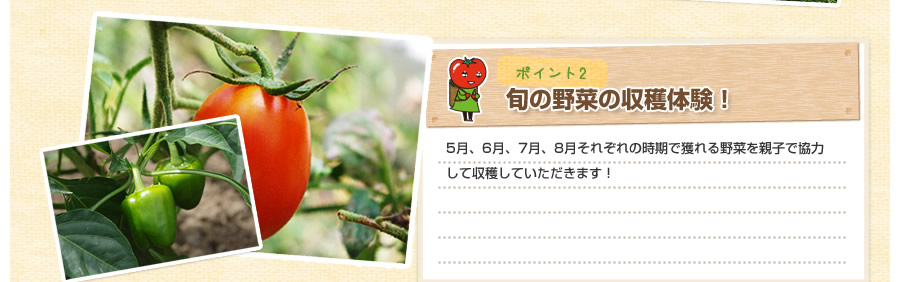 ポイント3、ポイント4