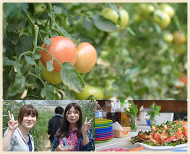 第1回 夏野菜を植えよう！