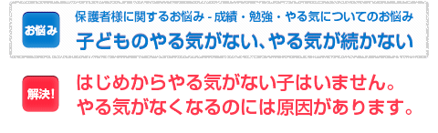 全然勉強しない（家庭学習の習慣がない）